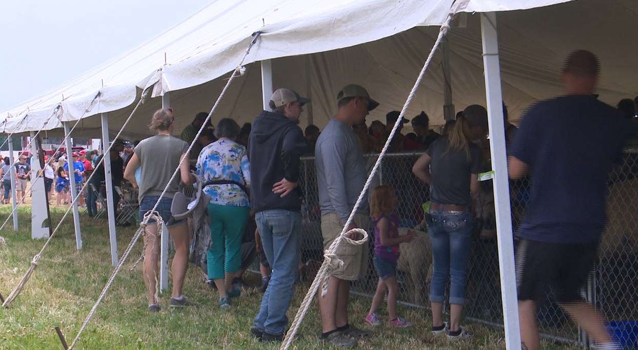 'Breakfast on the Farm' in Kewaunee County