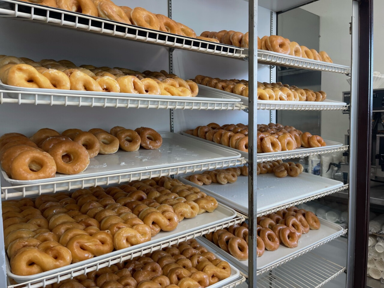 Donuts1.jpg