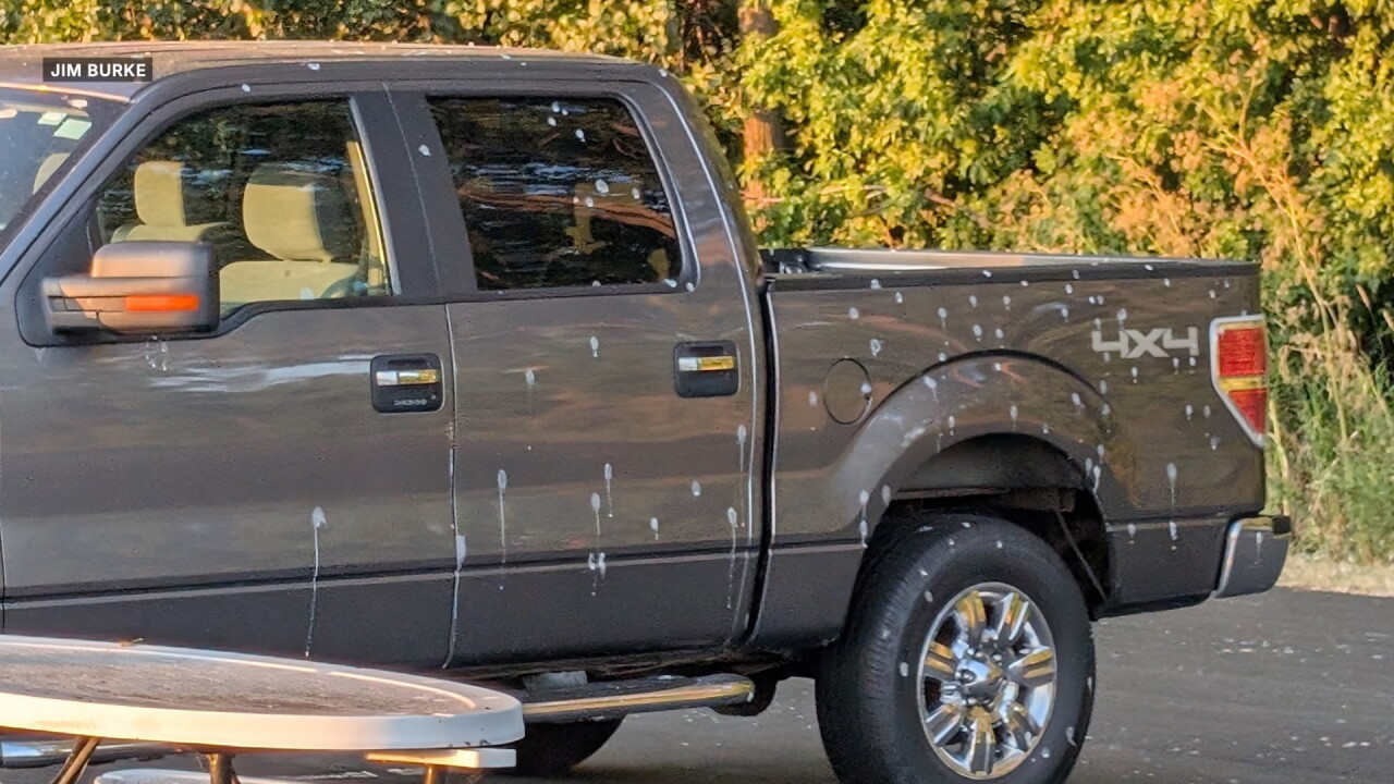 TRUCK PHOTO.jpg