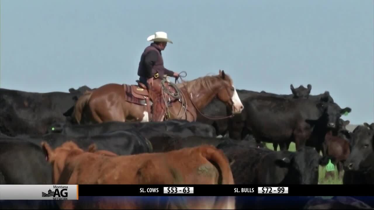 Montana Ag Network (Wednesday, May 27)