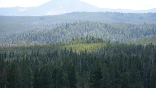 MacDonald Pass