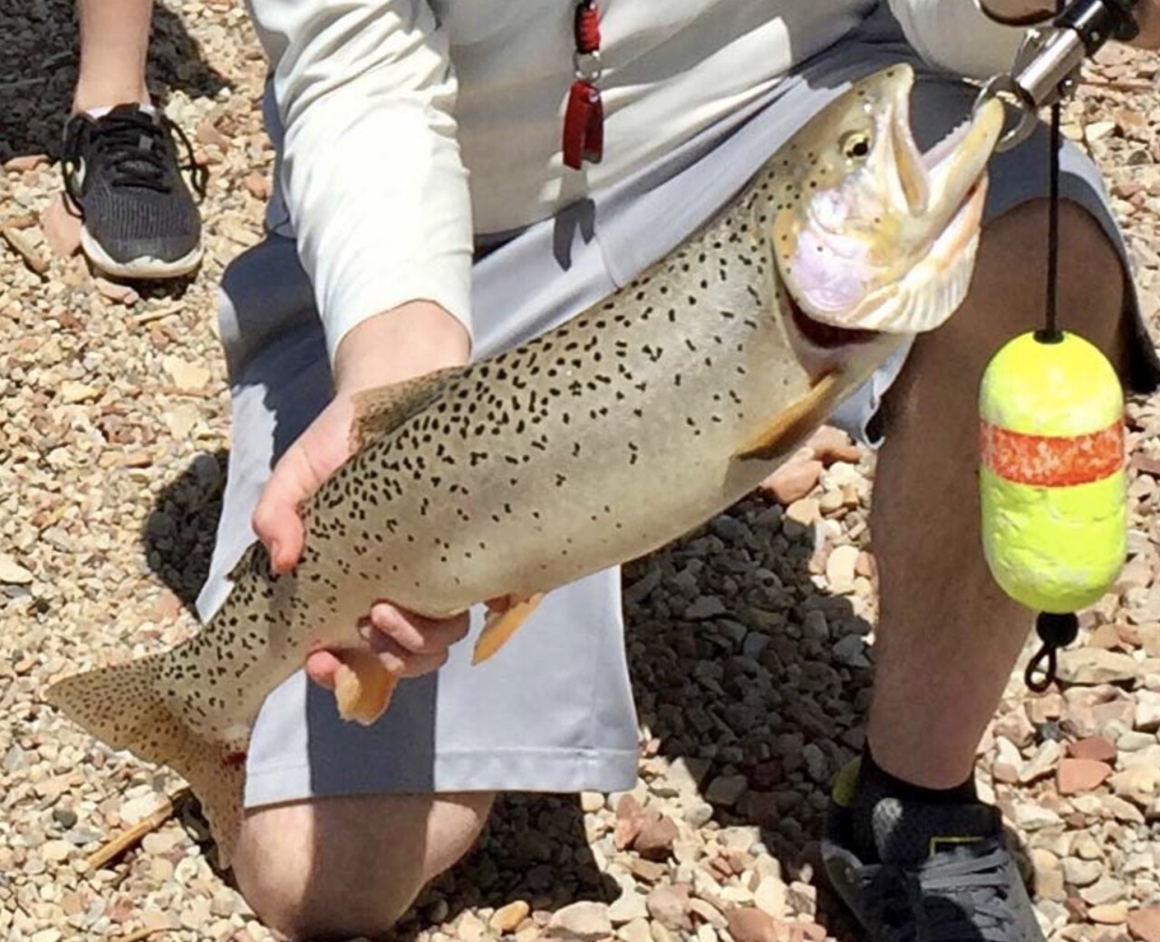 David MacKay Record Bear Lake Cutthroat Trout.jpg