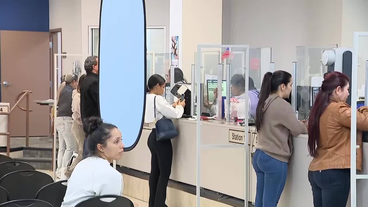 DMV poster image.jpg