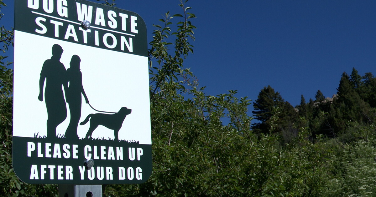 Dog poop an increasing problem on Bozeman's M Trail - Vimarsana News