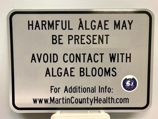 Martin County beaches closed to swimmers due to blue-green algae