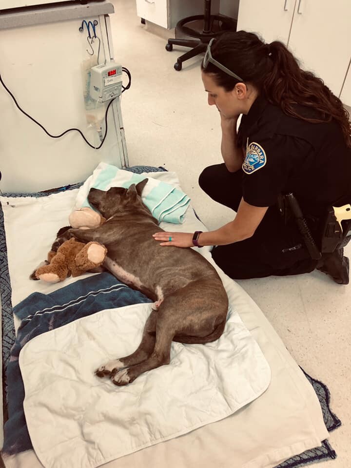 lucas recovery 2.jpg