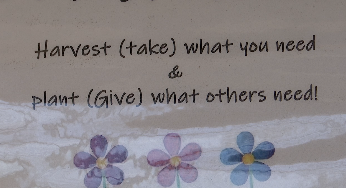 'You're hurting the town, not me': Hearne woman's community stand targeted by thieves