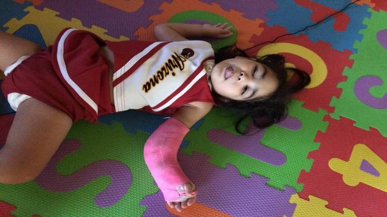 GALLERY: Go Cards! Your fan photos