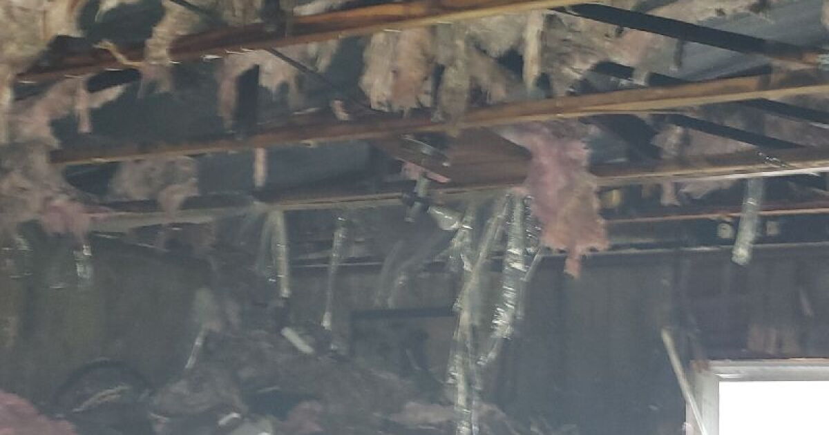 Woman says beloved dog saved her from mobile home fire