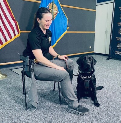 k9.jpg