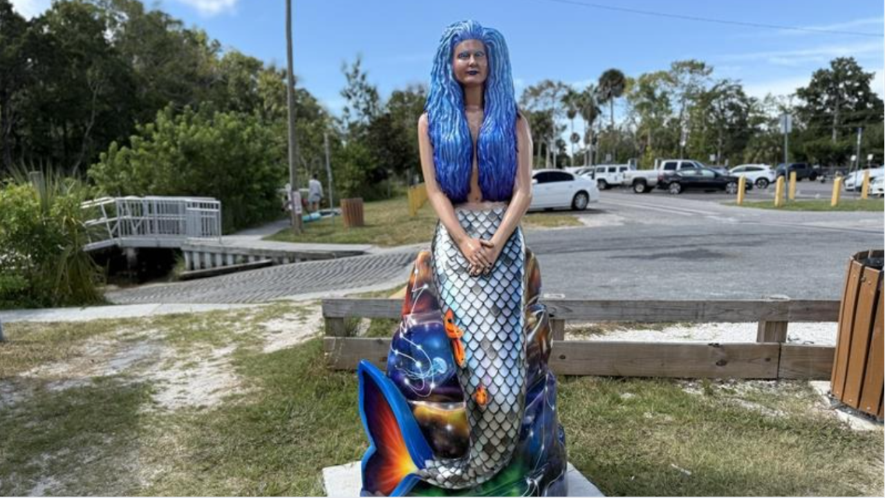 Mermaid back at Rogers Park