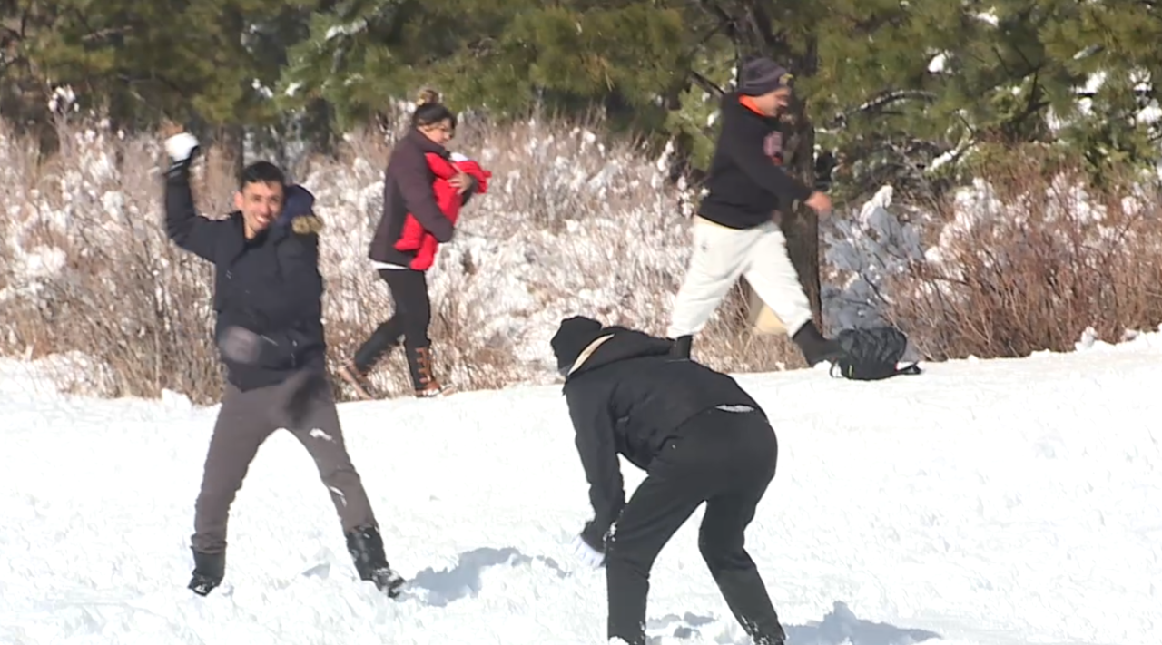 Mt. Charleston, snow in Las Vegas, snowing, winter, snowball