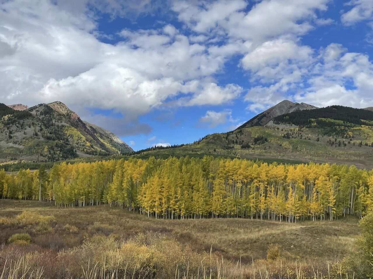 Crested Butte and Gothic area | Janine Dolan Laughlin