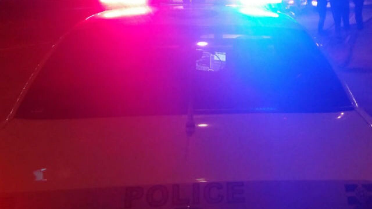Police Lights - GENERIC