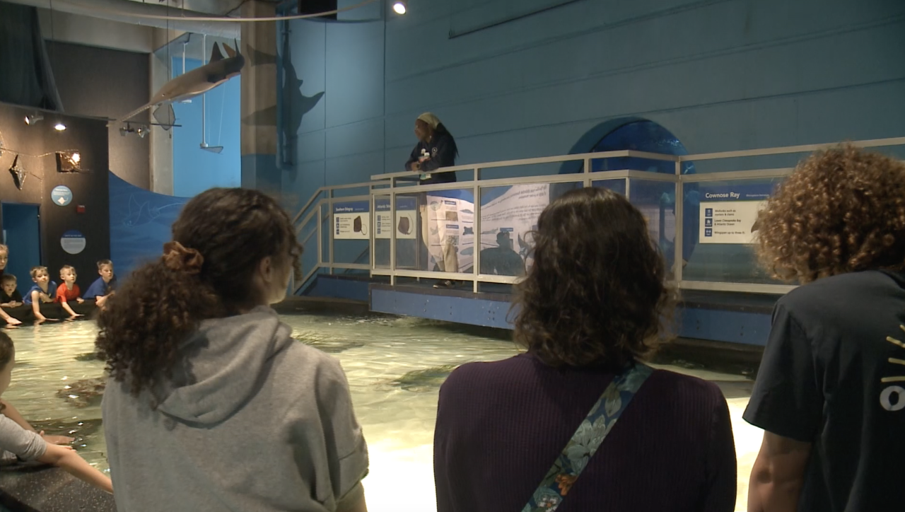 Screenshot 2024-03-26 at 10.24.09 PM.png