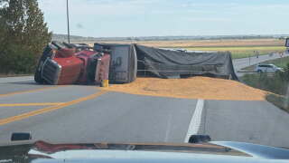 corn on 210.jpeg