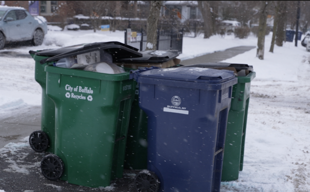 Buffalo Garbage