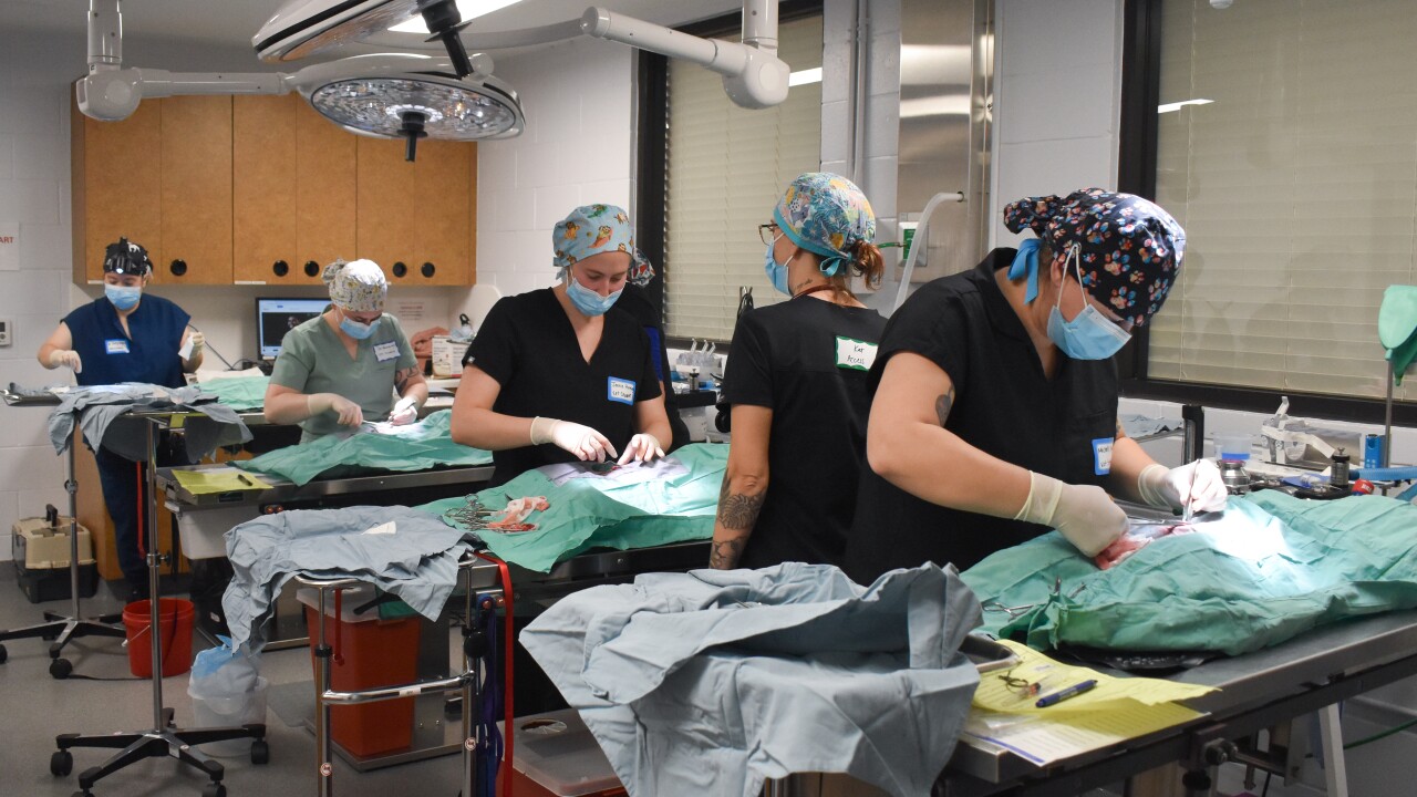 Peggy Adams Animal Rescue