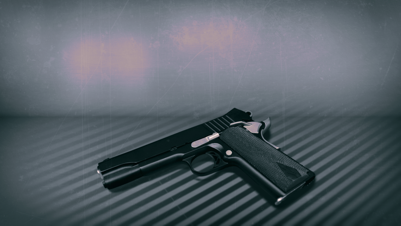 firearm graphic AP