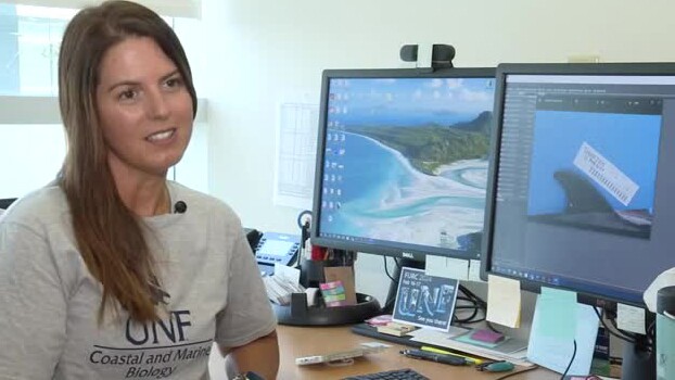 Dr. Quincy Gibson offers her insight into the dolphin photo taken recently near Jacksonville.