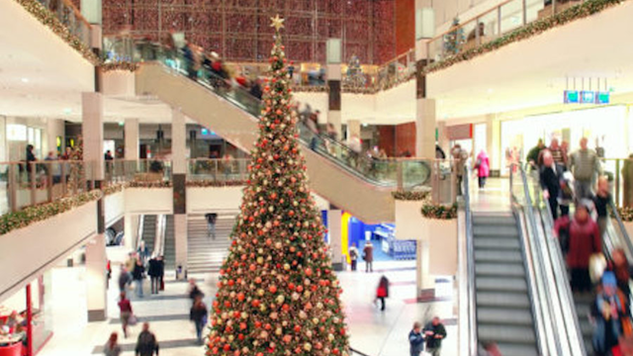 Christmas tree shop central ave hours Christmas Tree Shop Tampa Fl - CHRISMASIH