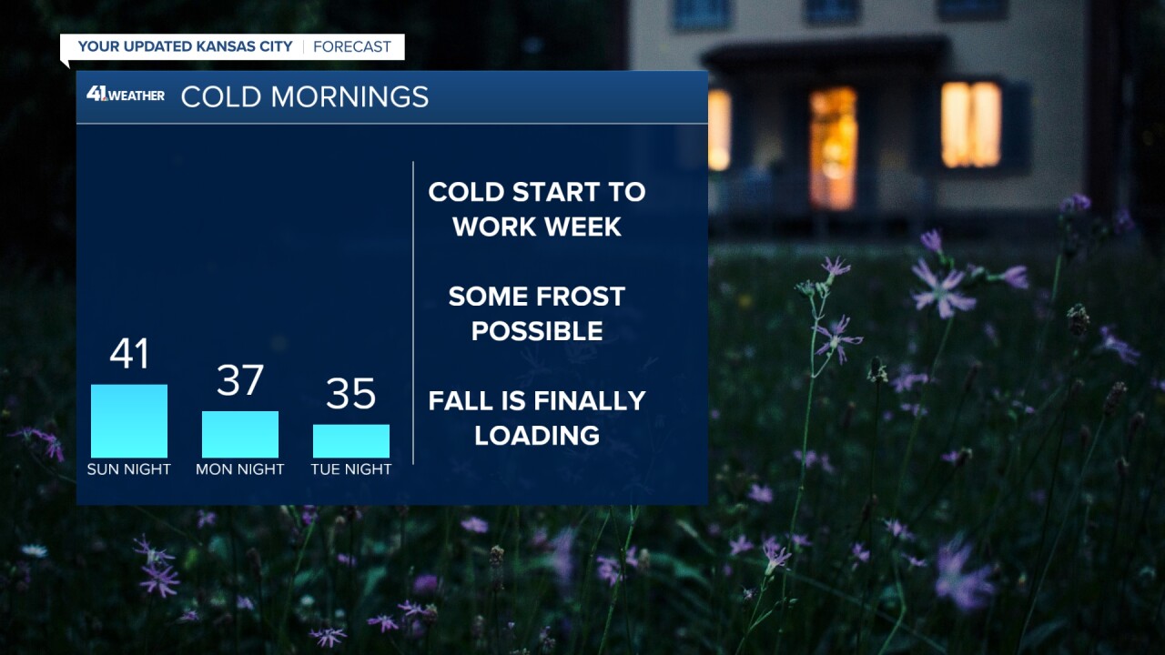 COLD MORNINGS.jpg