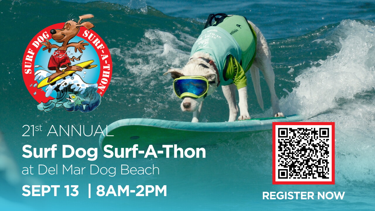 26SAT_SurfDog_Promo Graphics_Screencloud.jpg