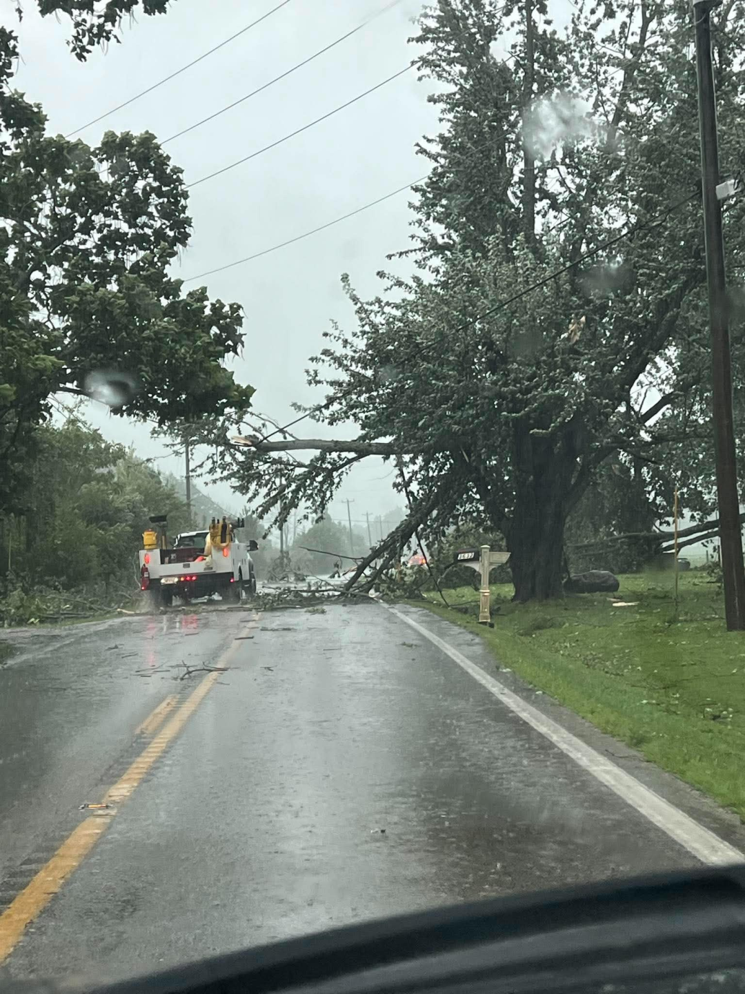 Trees Down OH-133 Clermont County