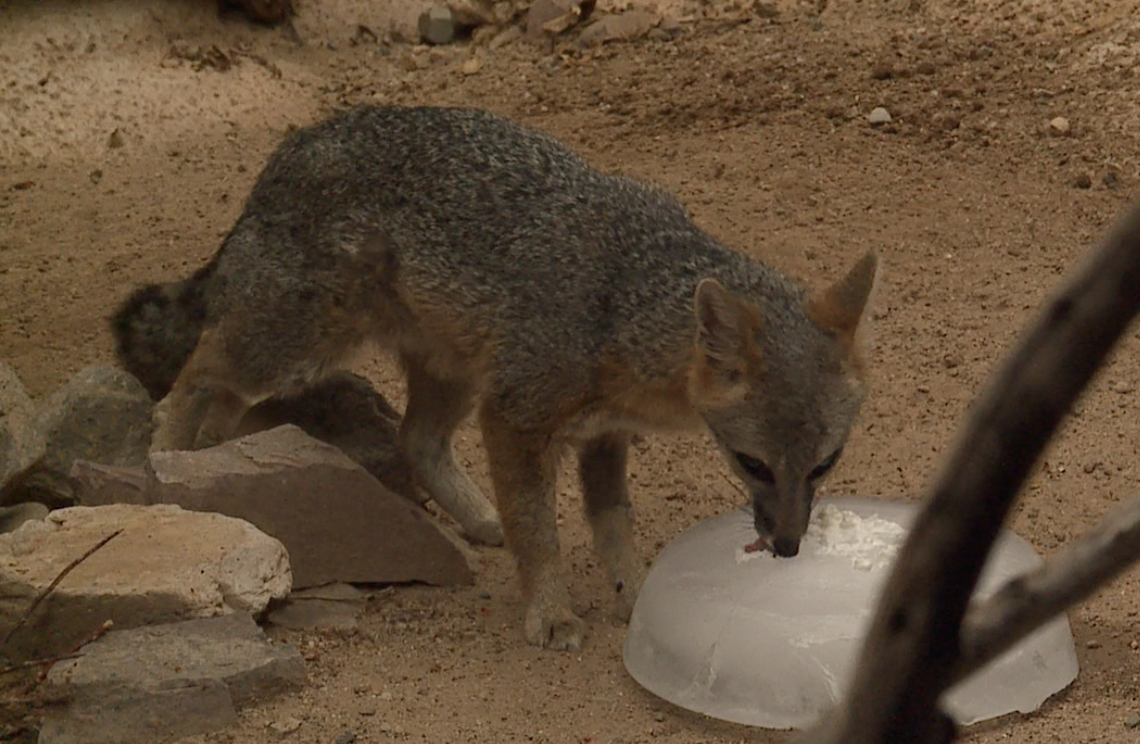 Screenshot 2025-08-18 at 4.02.42 AM.png