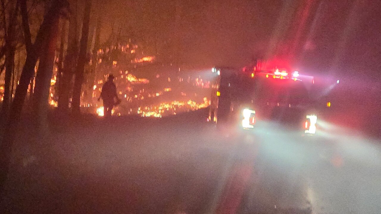 Fire crews battle forest fire in Stanton