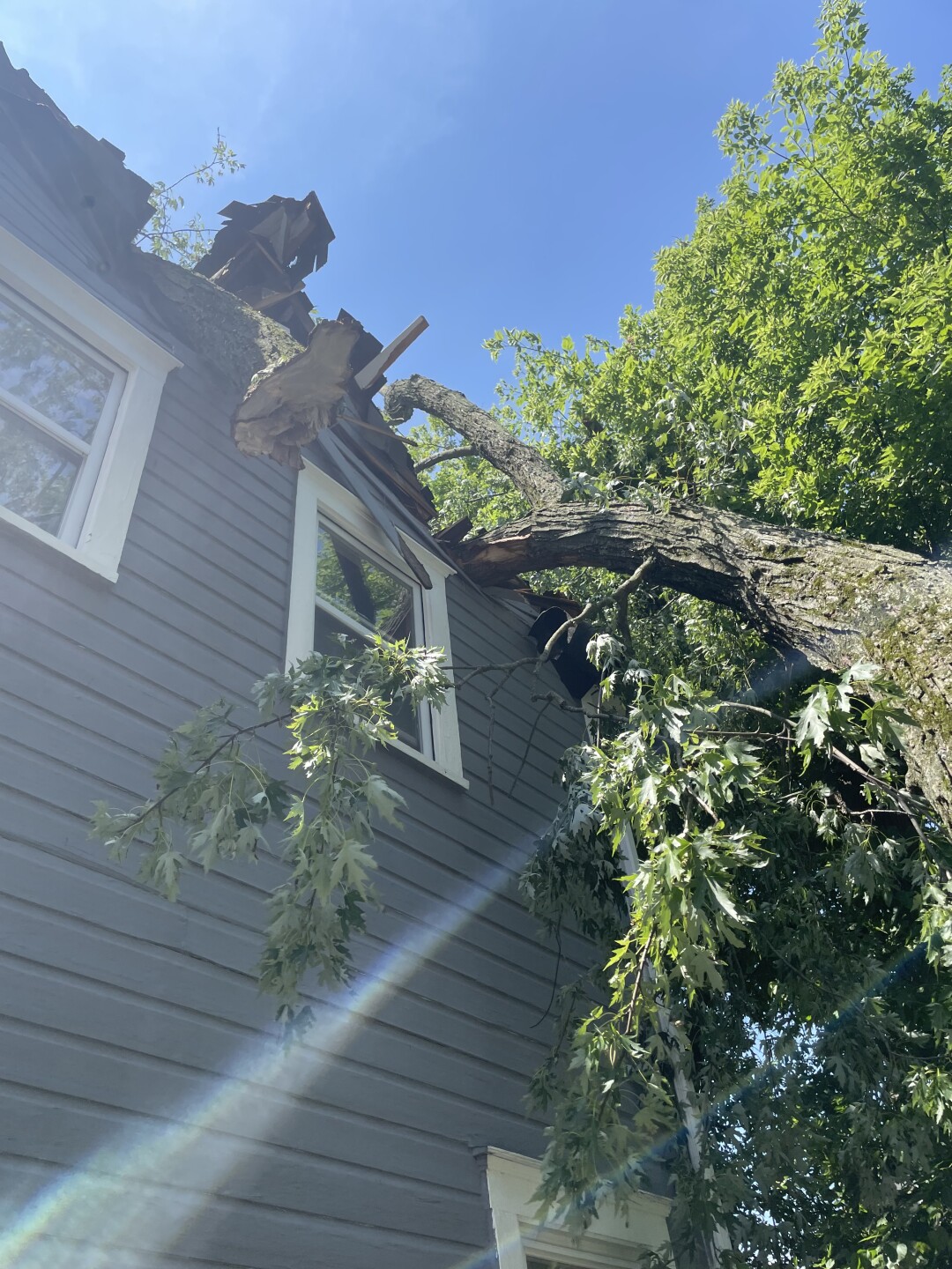 Akron man fears for safety after big tree branch crashes onto home