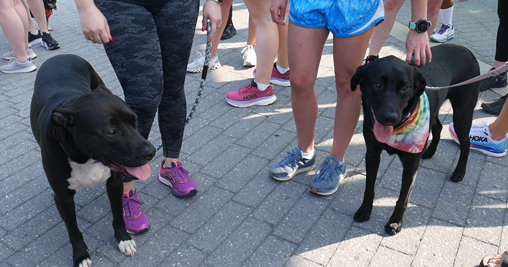 Screenshot 2023-09-19 220021.png