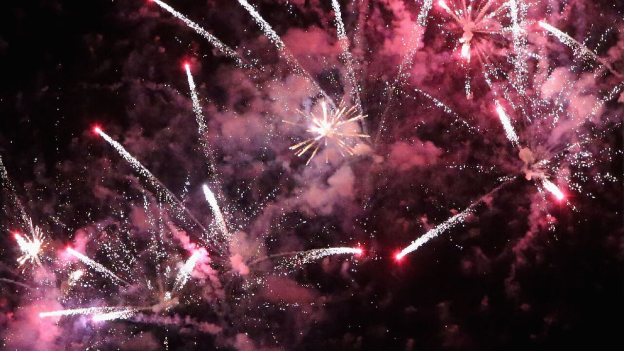 Michigan Humane Society: How to keep pets safe during fireworks