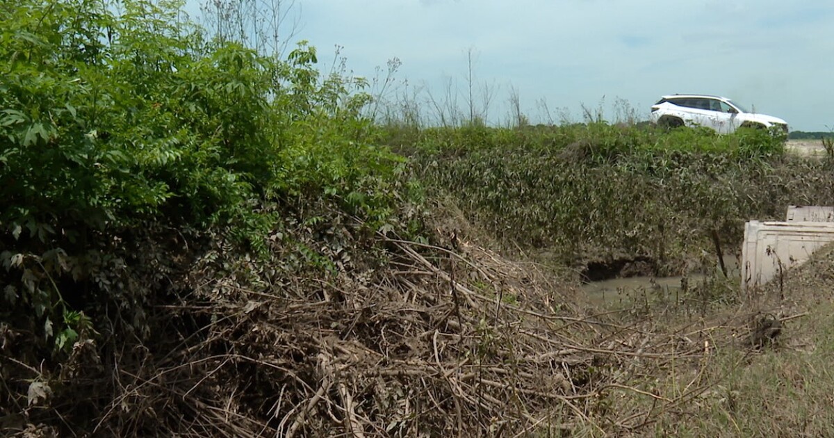 Poor drainage along North Riceland Road in Mire floods fields and threatens crops