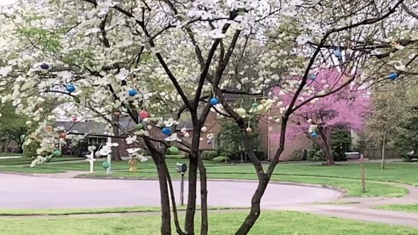ezgif.com-video-to-gif.gif