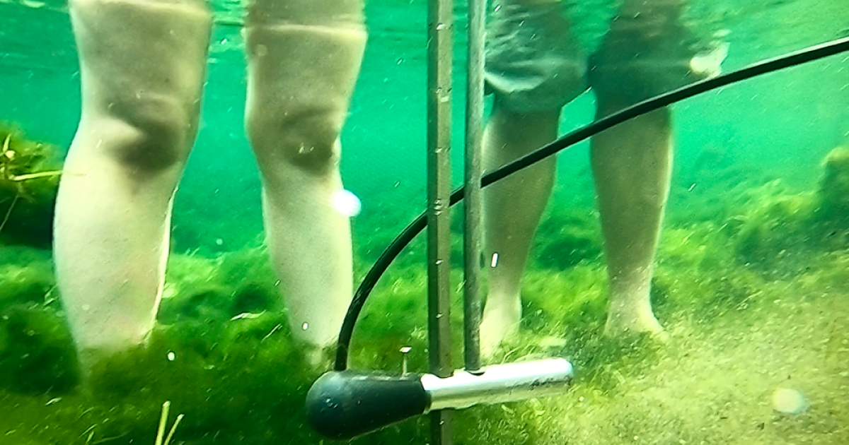 Tampa Bay Area Construction Boom Disappearing Wetlands Contribute