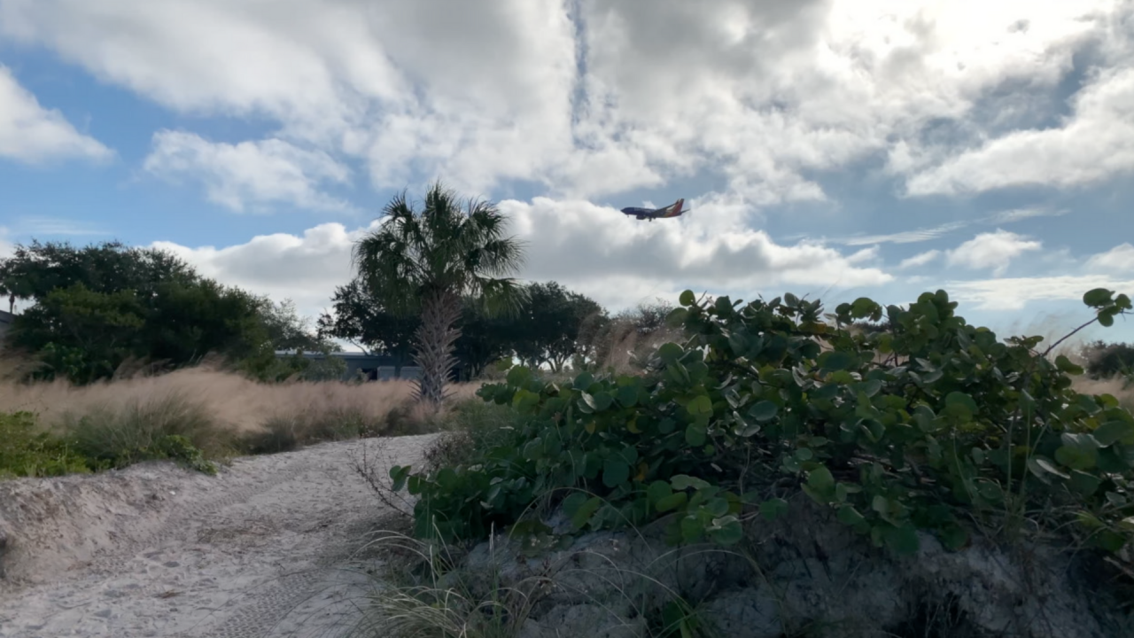 Cypress Point Park in Tampa