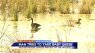 WATCH: Hopewell Police Chief stops man trying to steal baby geese