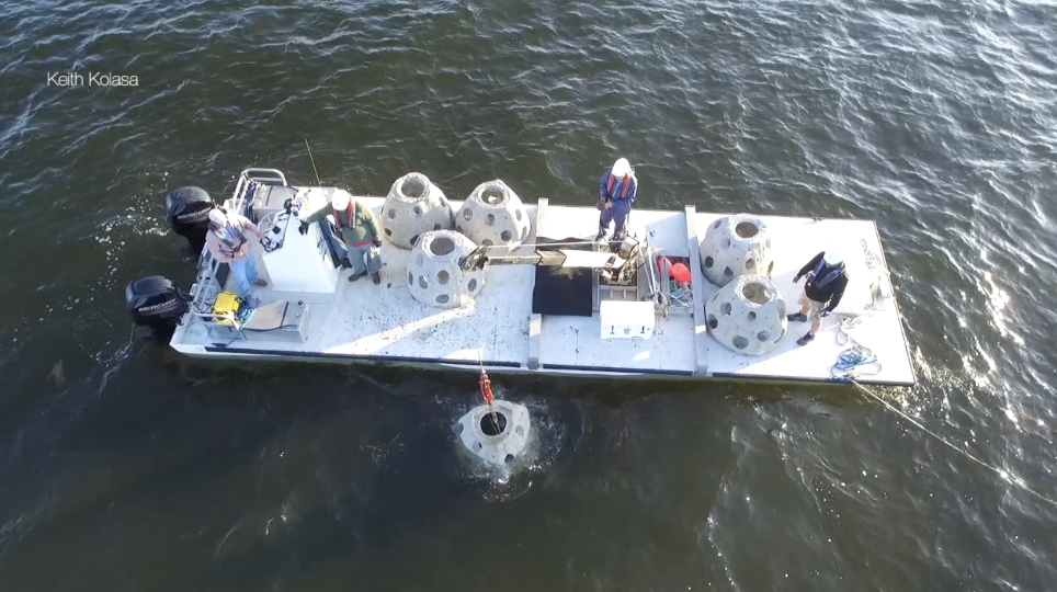 Screen Shot 2021-09-01 at 10.47.42 AM.png