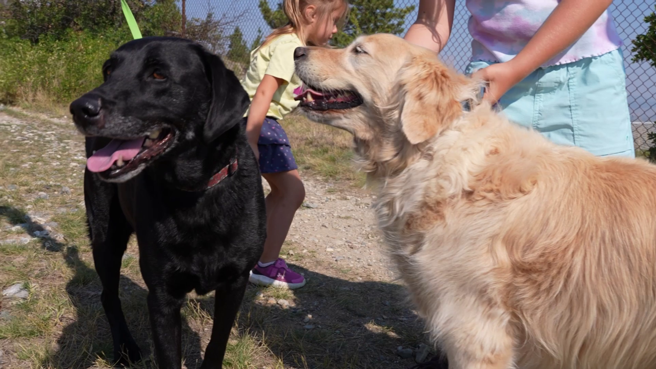 Non-profit agency hosts 'Pups For Public Lands' photo contest