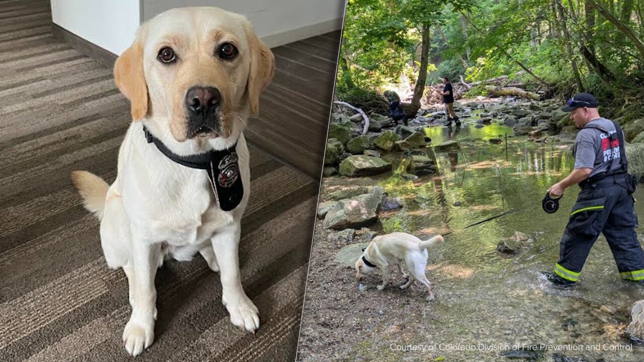 Colorado Division of Fire Prevention and Control ASH.jpg