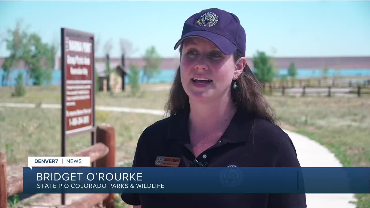 Bridget O'Rourke.jpg