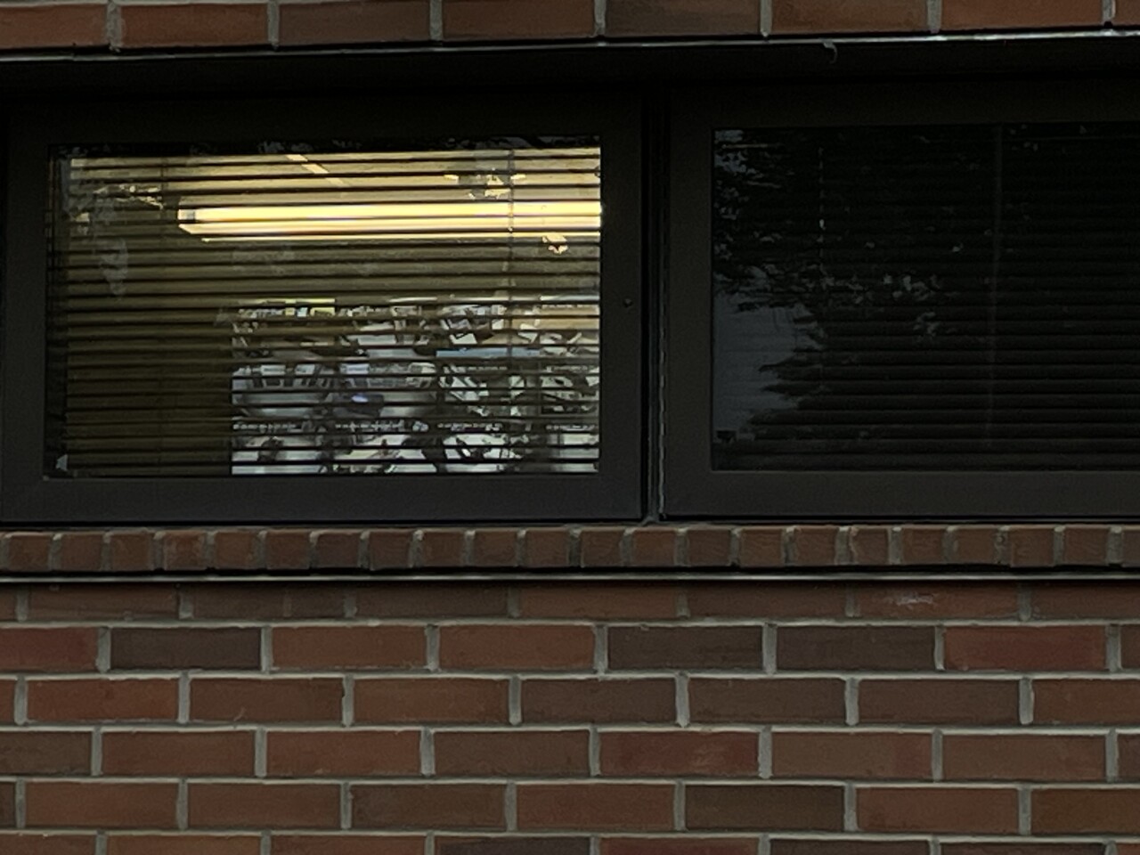 warren jail