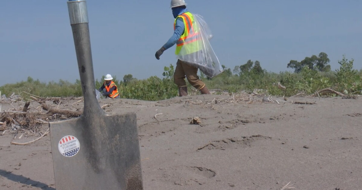 Cleanup crews moving farther down Yellowstone River to collect asphalt - Vimarsana News