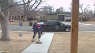 Dog stolen from front yard reunited with family