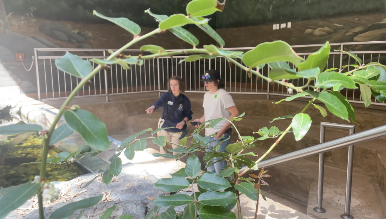 Screenshot 2024-03-26 at 10.23.16 PM.png