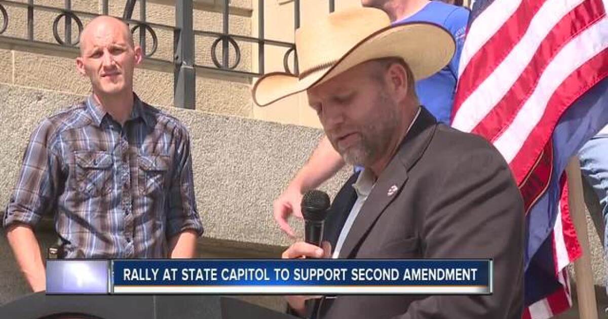 Second Amendment rally held on Capitol steps