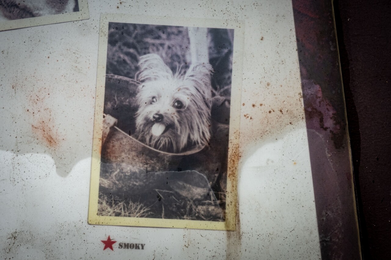 Smoky the War Dog 3.jpg