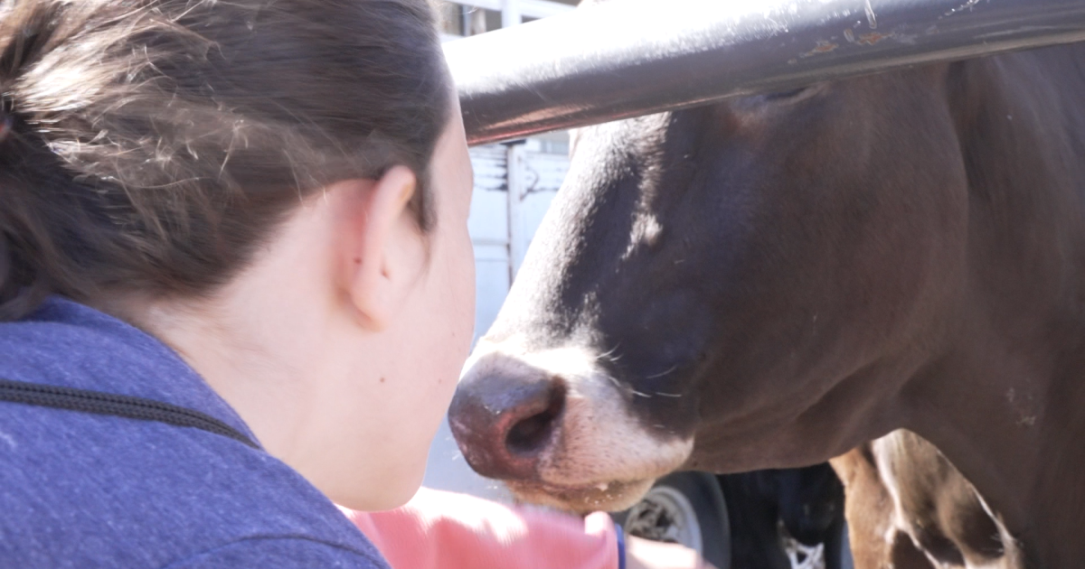 Cascade County students get hands-on education at Ag Days event