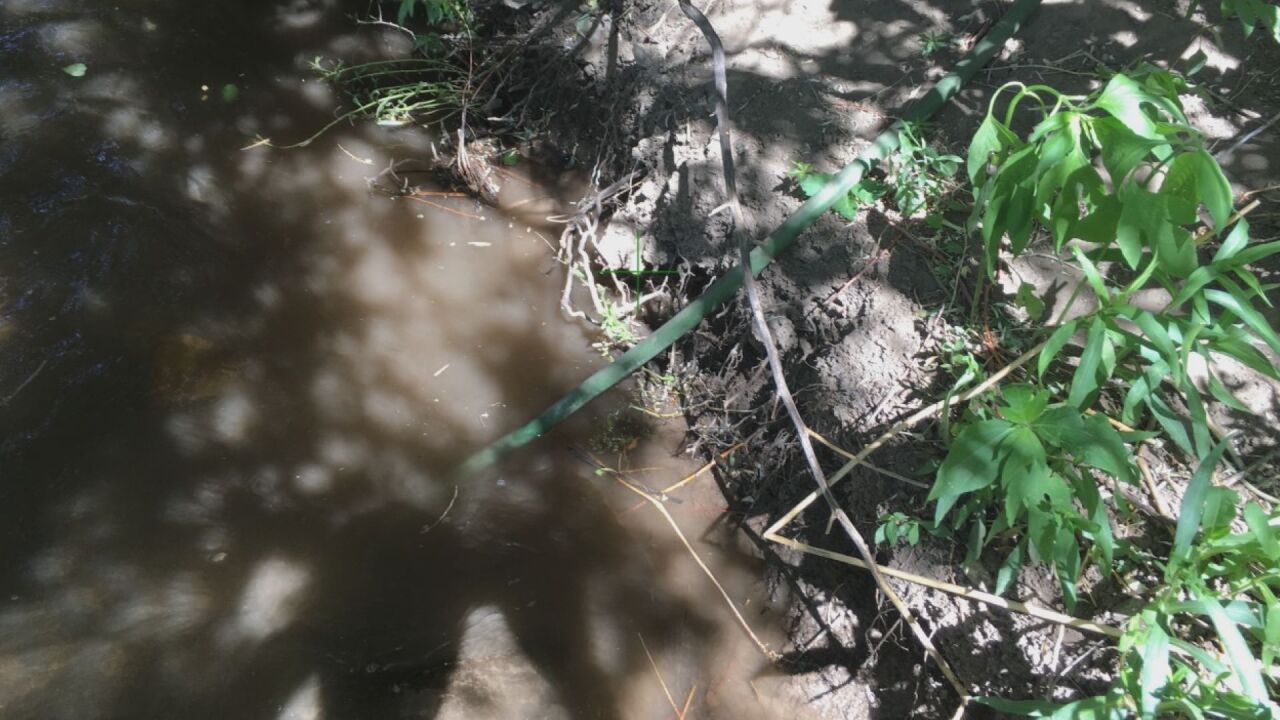 Hose Bryant says was used to siphon water from a nearby ditch